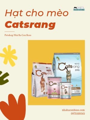 Catsrang All Life Stages: 2024 Cat Food Review