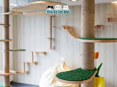 5 Things You Should Know Before Using Pet Hotel Services