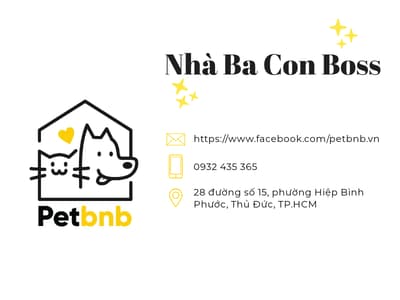 5 nơi trông giữ chó mèo giá rẻ tại TP.HCM