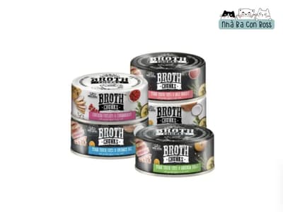 Quick review of Absolute Holistic wet cat food 2024