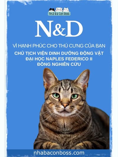 Hạt Cho Mèo N&D: Bí Quyết Cho Một Bé Mèo Khỏe Mạnh - Petshop Nhà Ba Con Boss