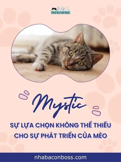 Hạt Mystic cho mèo với nguồn protein cao cấp, hỗ trợ phát triển toàn diện - Petshop Nhà Ba Con Boss