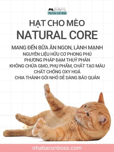 Bảo vệ sức khỏe mèo cưng với hạt cho mèo Natural Core - Petshop Nhà Ba Con Boss