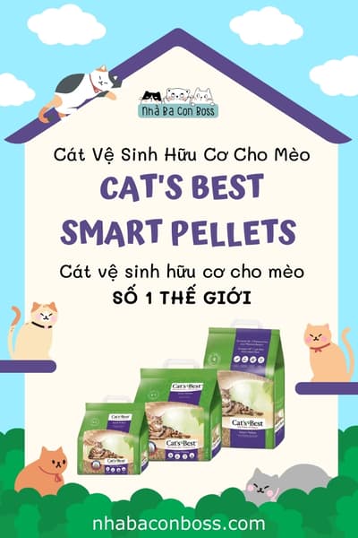 [Review] Cát Vệ Sinh Cat’s Best Smart Pellets Cho Mèo