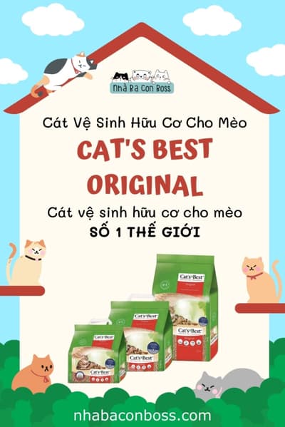 Cát Gỗ Hữu Cơ Cho Mèo Cat's Best Original là gì?