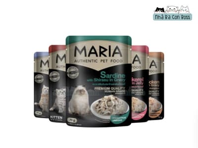 Detailed review of MARIA wet cat food (70 grams)