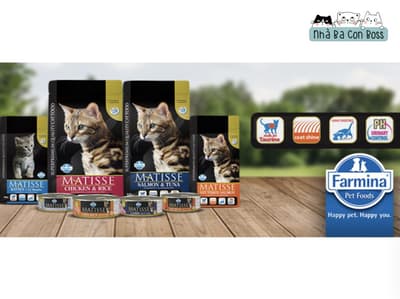 Đánh giá chi tiết về pate Matisse cho mèo (lon 85g)