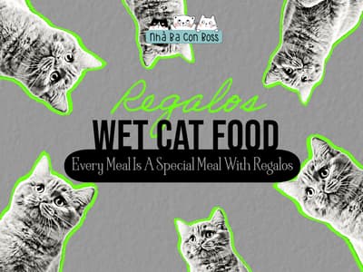Regalos Wet Cat Food for All Ages - Petshop Nhà Ba Con Boss