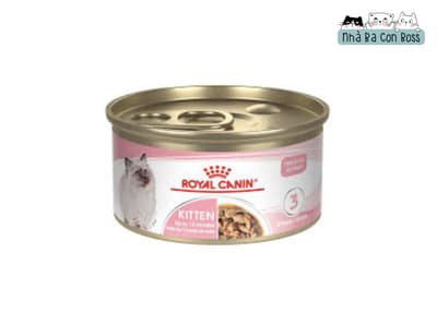 Review pate Royal Canin: Có xịn như lời đồn?