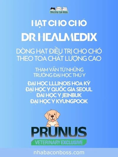 Hạt Cho Chó Dr. Healmedix, thực phẩm hỗ trợ vấn đề sức khoẻ - Petshop Nhà Ba Con Boss