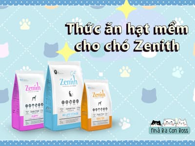 Thức Ăn Hạt Mềm Cho Chó Zenith - Loại nào phù hợp?