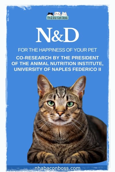 N&D's Cat Food: The Secret to a Healthy Cat