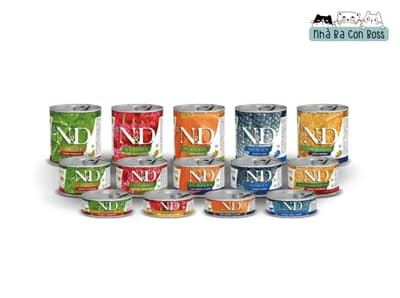 Review of N&D wet cat food: The Best Choice in 2024?