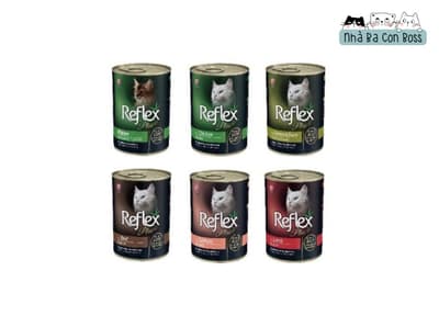 Review of Reflex wet cat food: The Best Try in 2024?