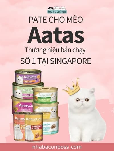 Pate Cho Mèo Aatas - Thương Hiệu Bán Chạy Số 1 Tại Singapore - Petshop Nhà Ba Con Boss