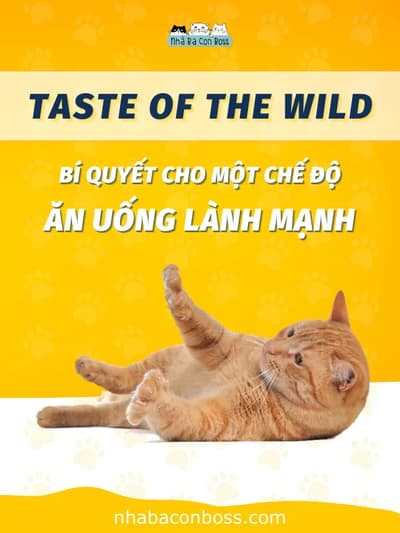 Hạt cho mèo Taste of The Wild, bí quyết chế độ ăn lành mạnh - Petshop Nhà Ba Con Boss