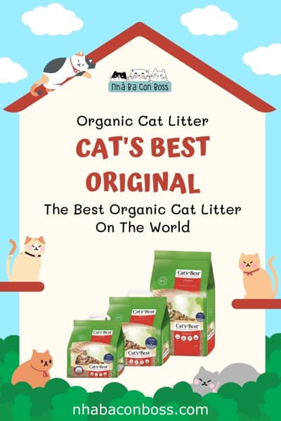 Organic Cat Litter Cat's Best Original: What is it?