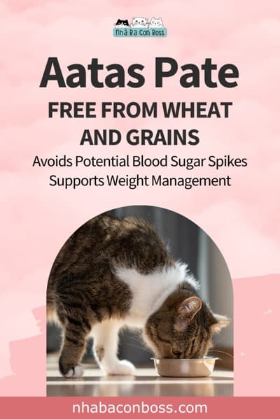 Aatas Cat Food - Singapore's #1 Best-Selling Brand