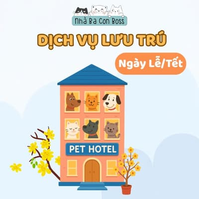 Dịch Vụ Pet Hotel Lễ/ Tết - 1 Ngày