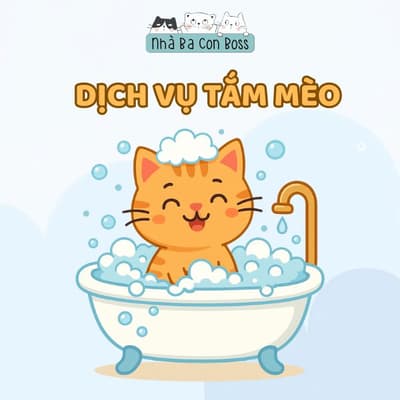 Dịch Vụ Tắm Mèo