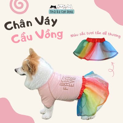 Váy Ren Cầu Vồng Cho Chó