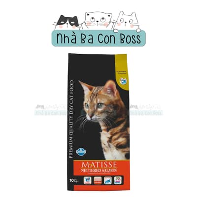 Thức Ăn Hạt Cho Mèo Matisse Triệt Sản Cá Hồi