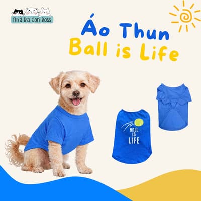 Áo Thun Cho Chó Kiki Ball Is Life - Xanh Đậm