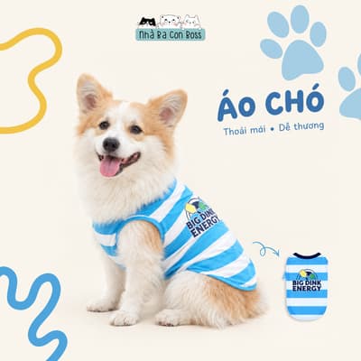 Áo Thun Trắng Sọc Xanh Big Dink Energy Cho Chó