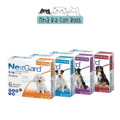 Viên Nhai Nexgard Phòng Và Trị Ngoại Ký Sinh Trùng Cho Chó