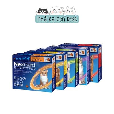 Viên Nhai Nexgard Spectra Cho Chó Từ 2kg Đến 30kg