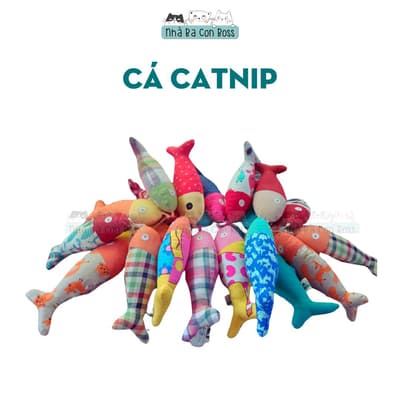 Cá Catnip Handmade Cho Mèo