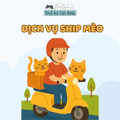 Dịch Vụ Ship mèo