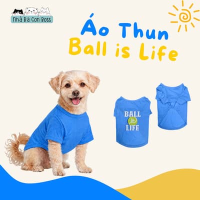 Áo Thun Cho Chó Kiki Ball Is Life - Xanh Nhạt