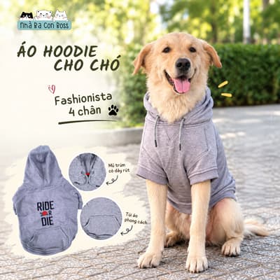 Áo Hoodie Ride Or Die Màu Xám Cho Chó