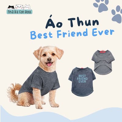 Áo Thun Cho Chó Kiki Best Friend Ever - Xám