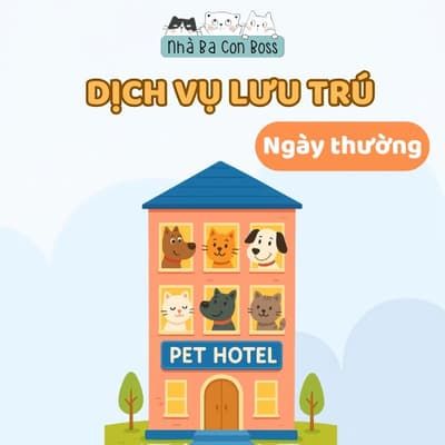 Dịch vụ Pet Hotel Cún - 1 Ngày