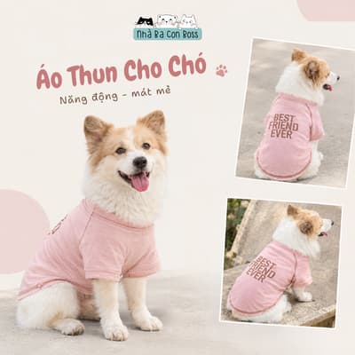 Áo Thun Hồng Best Friend Ever Cho Chó